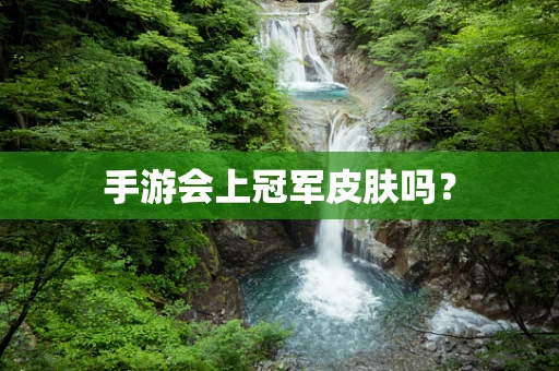 手游会上冠军皮肤吗？