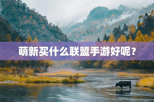 萌新买什么联盟手游好呢？