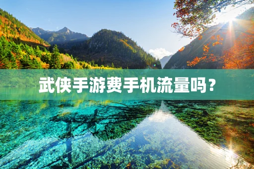 武侠手游费手机流量吗？