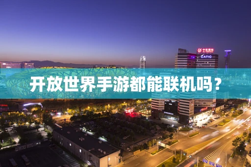 开放世界手游都能联机吗？