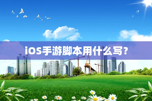iOS手游脚本用什么写？