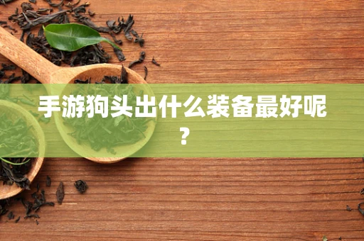 手游狗头出什么装备最好呢？