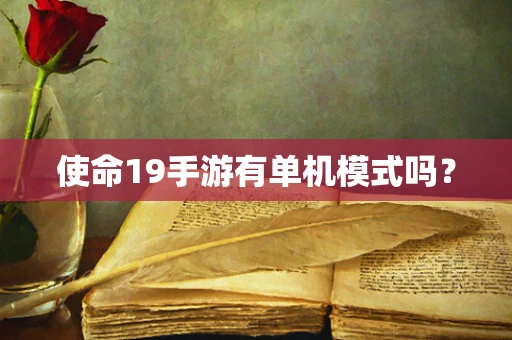 使命19手游有单机模式吗？