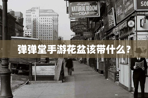 弹弹堂手游花盆该带什么？