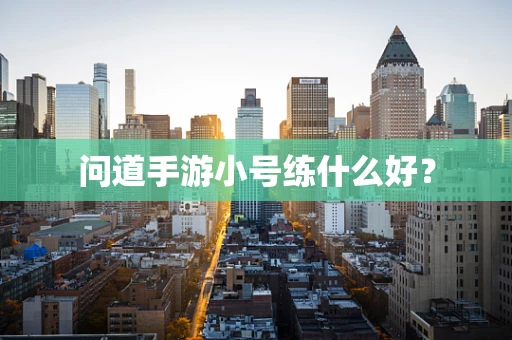 问道手游小号练什么好？