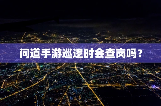 问道手游巡逻时会查岗吗？