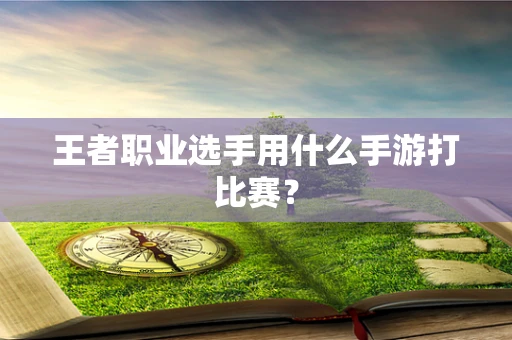 王者职业选手用什么手游打比赛？