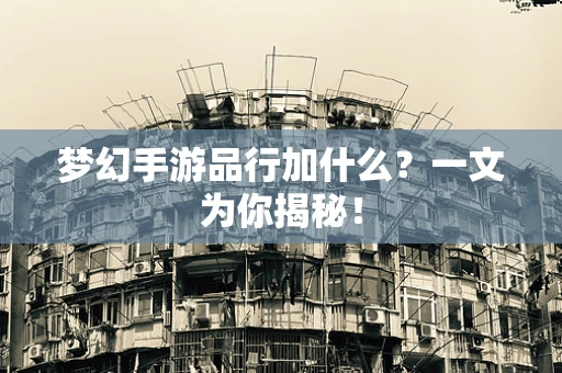 梦幻手游品行加什么？一文为你揭秘！