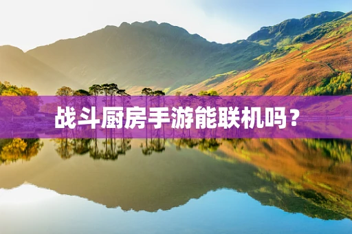 战斗厨房手游能联机吗？