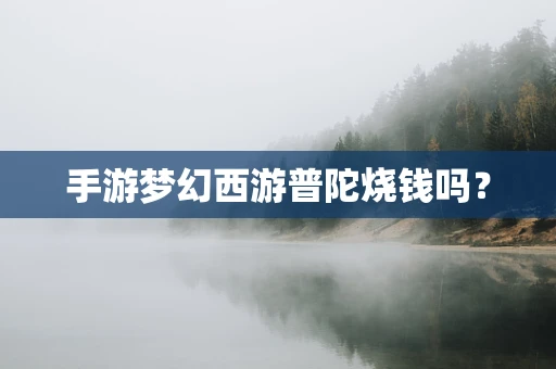 手游梦幻西游普陀烧钱吗？