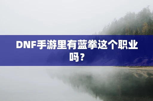 DNF手游里有蓝拳这个职业吗？