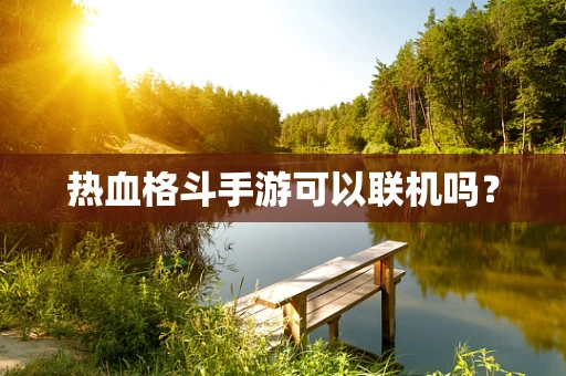 热血格斗手游可以联机吗？