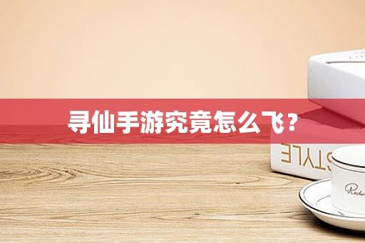 寻仙手游究竟怎么飞？
