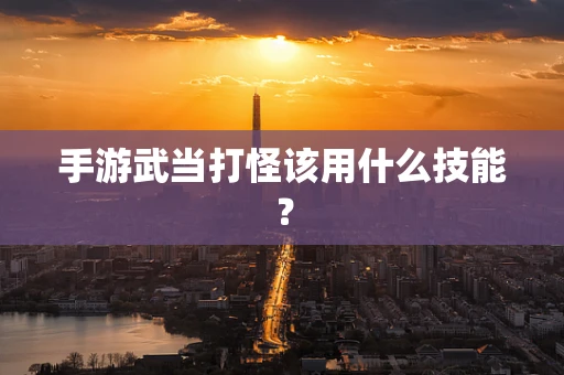 手游武当打怪该用什么技能？