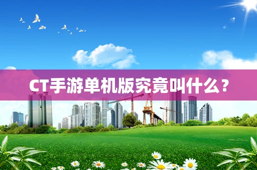 CT手游单机版究竟叫什么？
