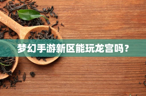 梦幻手游新区能玩龙宫吗？