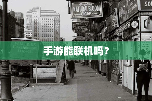手游能联机吗？