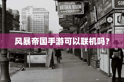 风暴帝国手游可以联机吗？