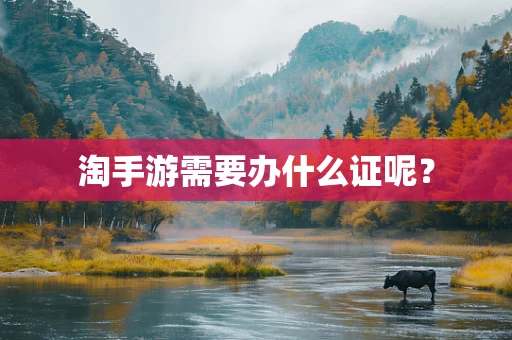 淘手游需要办什么证呢？