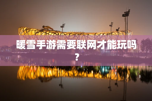 暖雪手游需要联网才能玩吗？