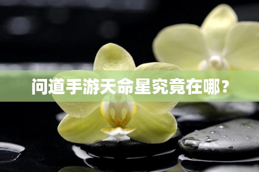 问道手游天命星究竟在哪？