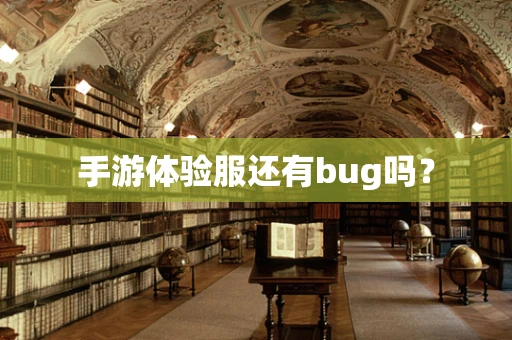 手游体验服还有bug吗？