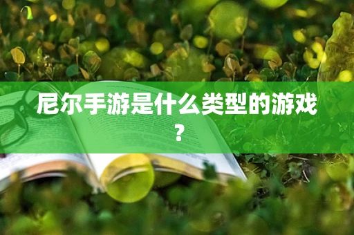 尼尔手游是什么类型的游戏？