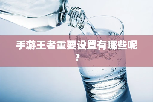 手游王者重要设置有哪些呢？