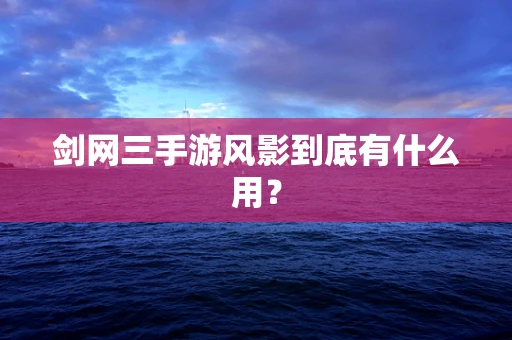 剑网三手游风影到底有什么用？