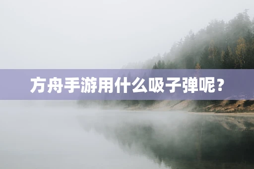 方舟手游用什么吸子弹呢？