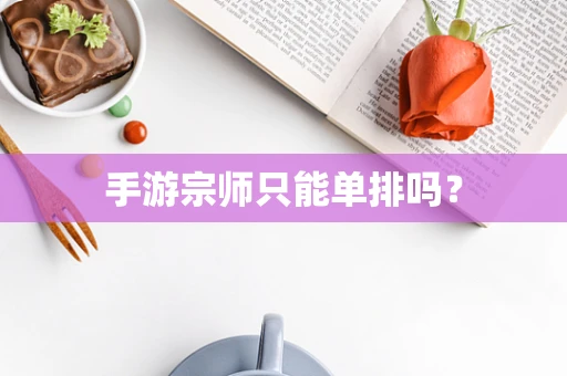 手游宗师只能单排吗？