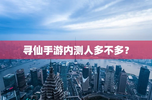 寻仙手游内测人多不多？