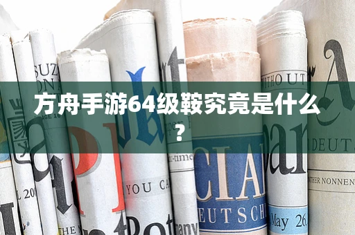 方舟手游64级鞍究竟是什么？
