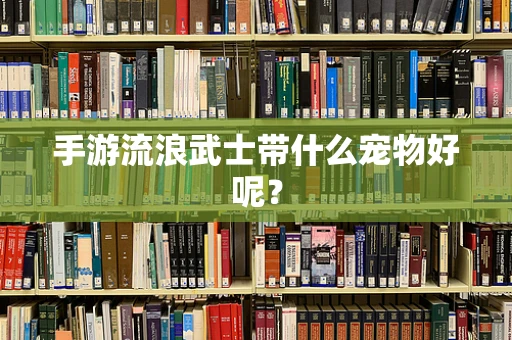 手游流浪武士带什么宠物好呢？