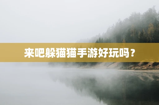来吧躲猫猫手游好玩吗？