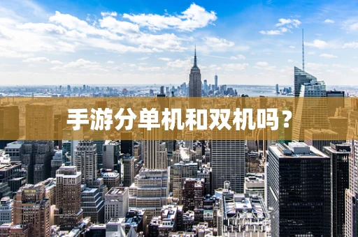手游分单机和双机吗？