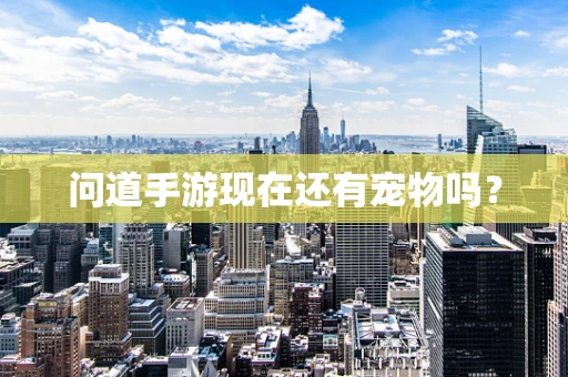 问道手游现在还有宠物吗？