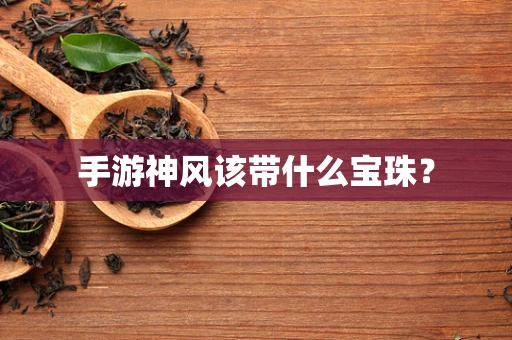 手游神风该带什么宝珠？