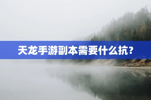 天龙手游副本需要什么抗？