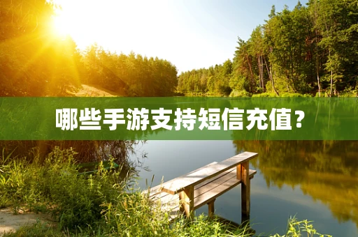 哪些手游支持短信充值？