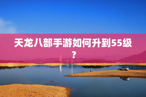 天龙八部手游如何升到55级？