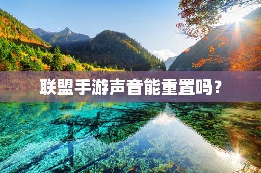 联盟手游声音能重置吗？