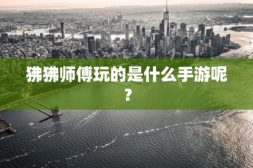 狒狒师傅玩的是什么手游呢？