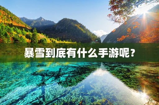 暴雪到底有什么手游呢？