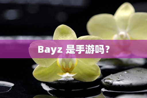 Bayz 是手游吗？