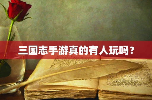 三国志手游真的有人玩吗？