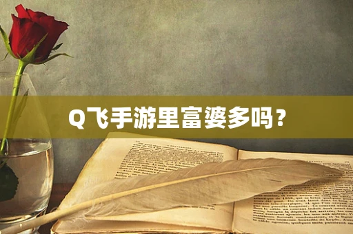 Q飞手游里富婆多吗？