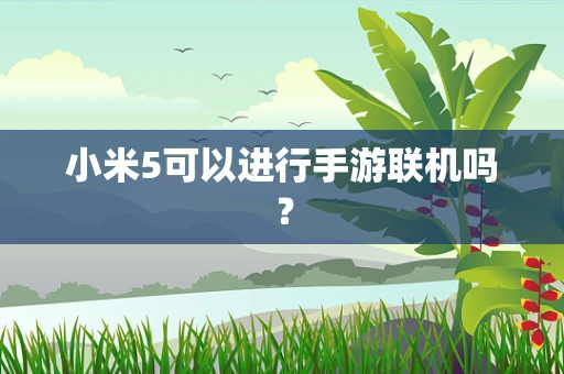 小米5可以进行手游联机吗？