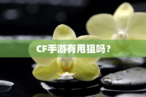 CF手游有甩狙吗？