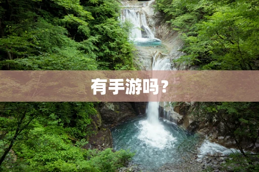 有手游吗？